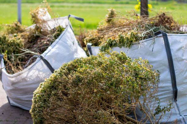 Best Construction Debris Removal  in Cheboygan, MI
